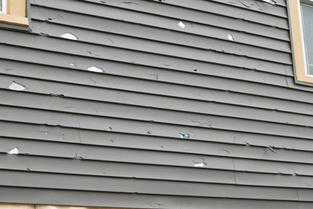 Best Same-Day Junk Removal Services  in Carthage, NC